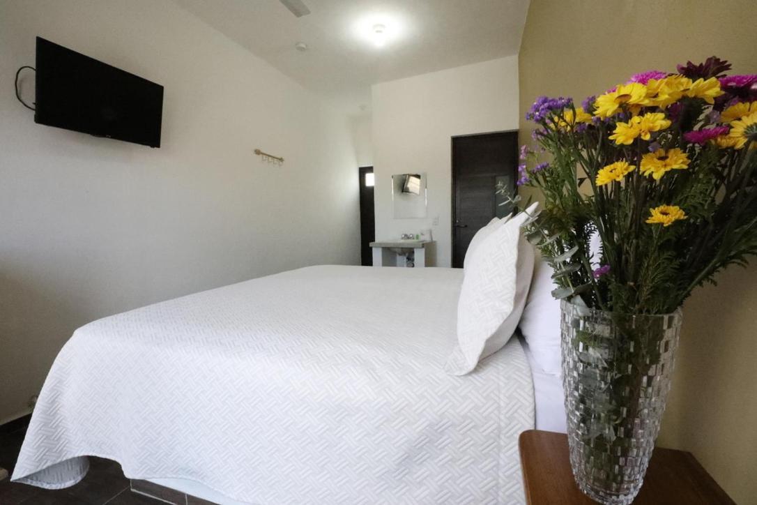 Hotel Del Mar 巴拉德纳维达 外观 照片